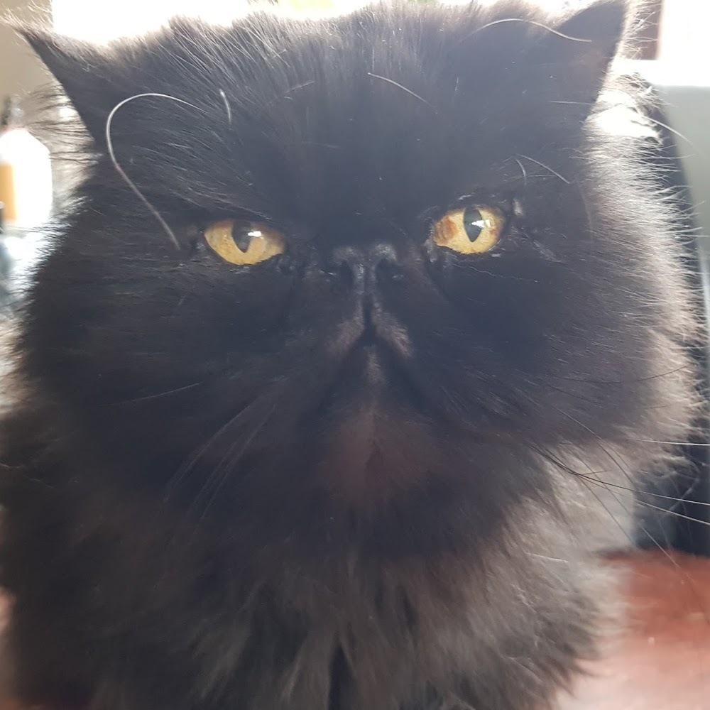 Meet your Posher, Leah